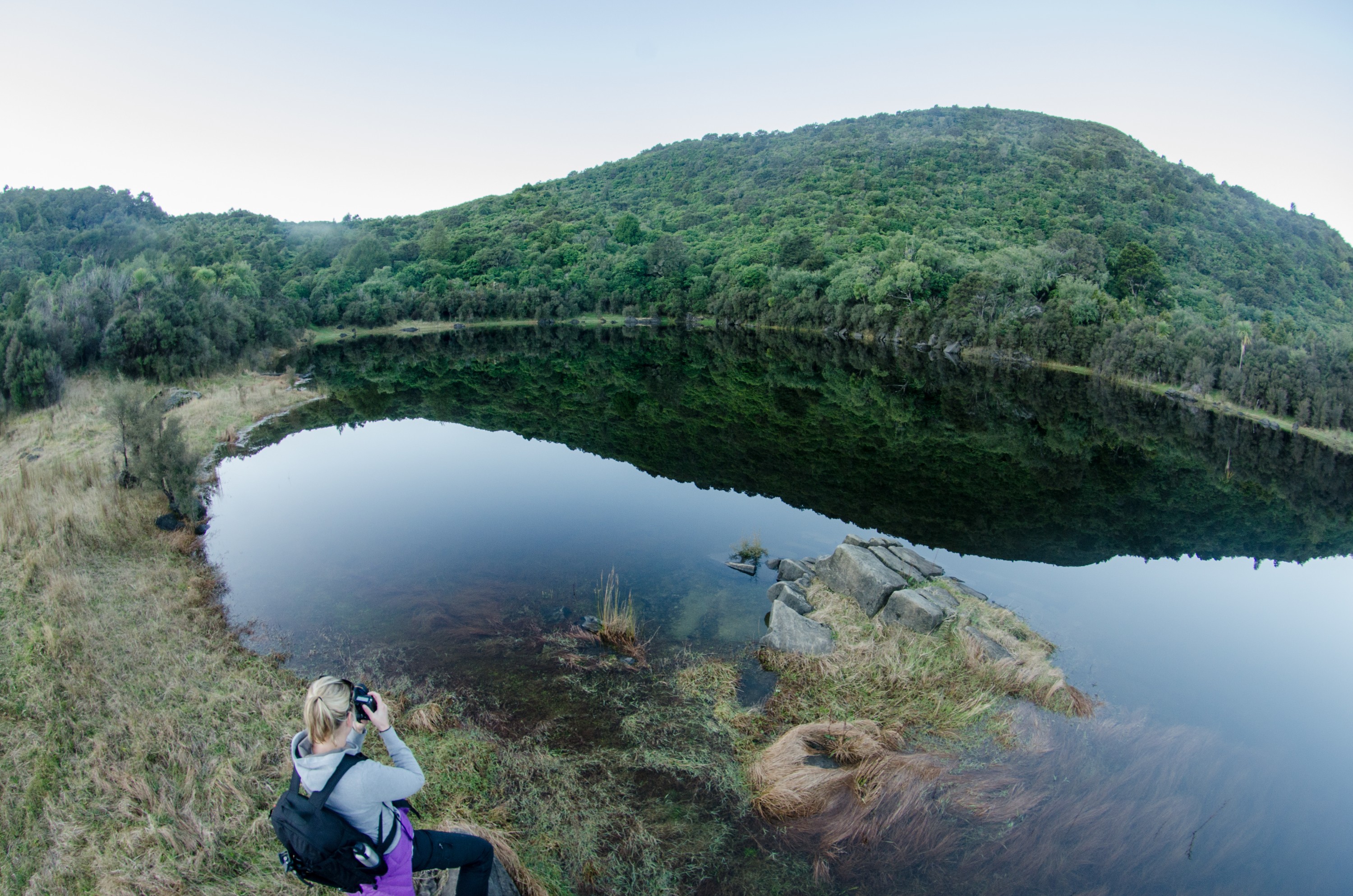 DSC_3099 (2) – Te, Urewera, lake, freshwater, crispin, nz, new, zealand, new zealand